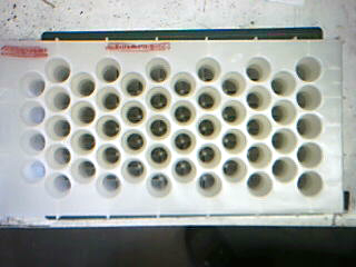 Filter Air Intake Plastic - 41D728494G1 Air Duct